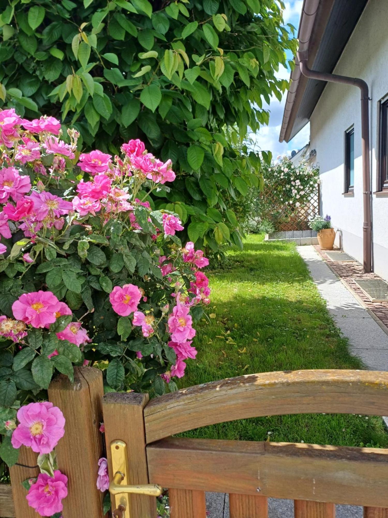 Ferienwohnung Unter Dem Sonnberg 아우겐 외부 사진
